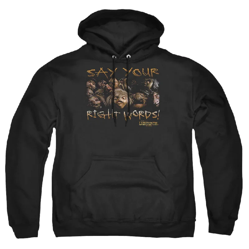 Take Advantage cool hoodieLabyrinth Say Your Right Words Pullover Hoodie
